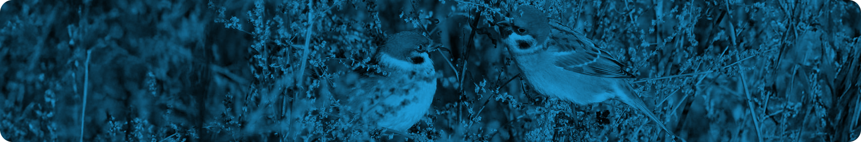 Normativa y documentos